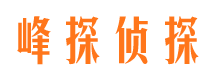 盐亭侦探公司